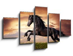 Obraz 5D ptidln - 125 x 70 cm F_GS45203930 - Black Friesian horse gallop