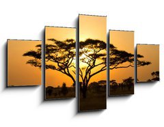 Obraz 5D ptidln - 125 x 70 cm F_GS45762183 - Rising Sun shinning through an Acacia Tree in Serengeti