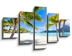 Obraz 5D ptidln - 125 x 70 cm F_GS45867678 - Bora Bora beach