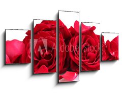 Obraz 5D ptidln - 125 x 70 cm F_GS46400536 - beautiful red roses and petals isolated on white