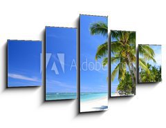 Obraz 5D ptidln - 125 x 70 cm F_GS46621590 - Mauritius