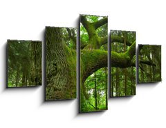 Obraz 5D ptidln - 125 x 70 cm F_GS4757840 - Mighty oak. - Mocn dub.