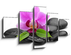 Obraz 5D ptidln - 125 x 70 cm F_GS48780940 - orchid