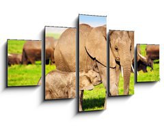 Obraz 5D ptidln - 125 x 70 cm F_GS49494592 - Elephants family on savanna. Safari in Amboseli, Kenya, Africa - Rodina slon na savan. Safari v Amboseli, Kea, Afrika
