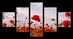 Obraz 5D ptidln - 125 x 70 cm F_GS499070572 - Anzac Day memorial poppies. Field of red poppy flowers to honour fallen veterans soldiers in battle of Anzac armistice day. Wildflowers blooming poppy field landscape. Meadow with flowers.