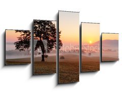 Obraz 5D ptidln - 125 x 70 cm F_GS50398429 - Alone tree on meadow at sunset with sun and mist - panorama