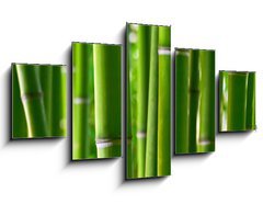 Obraz ptidln 5D - 125 x 70 cm F_GS5056687 - Bamboo forest