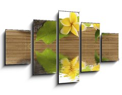 Obraz 5D ptidln - 125 x 70 cm F_GS51354195 - concept dtente : bambou, galets, papillon, fleurs