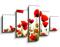 Obraz   coquelicots sur fond blanc, 125 x 70 cm