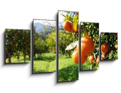 Obraz 5D ptidln - 125 x 70 cm F_GS51744816 - Orange tree