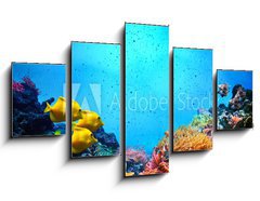 Obraz   Underwater scene. Coral reef, fish groups in clear ocean water, 125 x 70 cm
