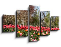 Obraz 5D ptidln - 125 x 70 cm F_GS52173694 - Holland windmills and tulips