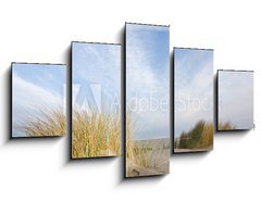 Obraz 5D ptidln - 125 x 70 cm F_GS52533034 - Dunes and beachgrass - Duny a plov pl