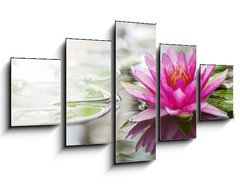 Obraz   Pink lotus, 125 x 70 cm