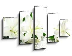 Obraz   Beautiful lily, isolated on white, 125 x 70 cm