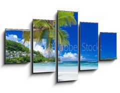 Obraz   cocotier pench sur plage des Seychelles, 125 x 70 cm