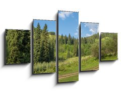 Obraz   Nature of green trees, road on Medeo, Kazakhstan, 125 x 70 cm