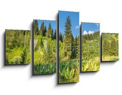 Obraz 5D ptidln - 125 x 70 cm F_GS53756433 - Nature of  green trees and blue sky, near Medeo in Kazakhstan