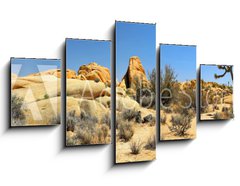 Obraz 5D ptidln - 125 x 70 cm F_GS54332730 - Joshua Tree