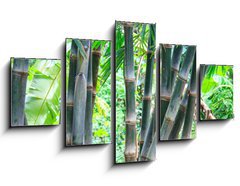 Obraz 5D ptidln - 125 x 70 cm F_GS54731714 - Bamboo forest - Bambusov les