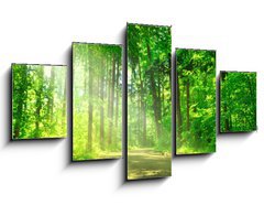 Obraz 5D ptidln - 125 x 70 cm F_GS55128524 - Waldweg mit Sonnenschein - Lesn cesta se sluncem