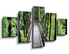 Obraz   Pont de lianes Kazura bashi Oku Iya, Shikoku, Japon, 125 x 70 cm