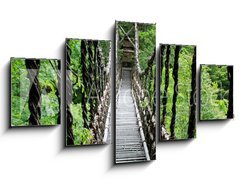 Obraz 5D ptidln - 125 x 70 cm F_GS55730314 - Pont de lianes Kazura-bashi  Oku Iya, Shikoku, Japon