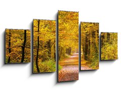 Obraz   Autumn forest, 125 x 70 cm