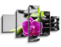 Obraz 5D ptidln - 125 x 70 cm F_GS56279364 - orchid
