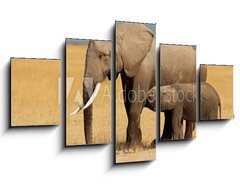 Obraz 5D ptidln - 125 x 70 cm F_GS57159640 - African elephant with calf, Amboseli National Park