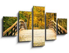 Obraz 5D ptidln - 125 x 70 cm F_GS57169928 - Bridge in autumn park - Most v podzimnm parku