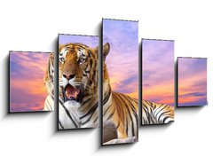 Obraz 5D ptidln - 125 x 70 cm F_GS57972790 - Tiger looking something on the rock with beautiful sky at sunset