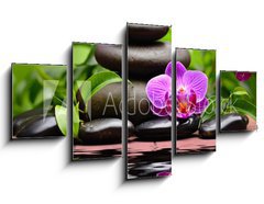 Obraz 5D ptidln - 125 x 70 cm F_GS58101039 - orchid