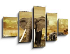 Obraz   Elephants At Sunset, 125 x 70 cm