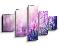 Obraz   Lavender Flowers Field. Growing and Blooming Lavender, 125 x 70 cm