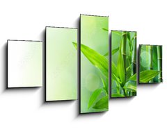 Obraz 5D ptidln - 125 x 70 cm F_GS58926337 - bamboo stalks on water