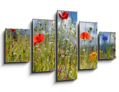 Obraz ptidln 5D - 125 x 70 cm F_GS5928687 - Colorful wildflowers