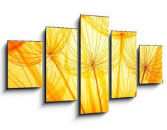 Obraz   Dandelion, 125 x 70 cm