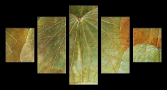 Obraz 5D ptidln - 125 x 70 cm F_GS5989441 - background from natural leafs
