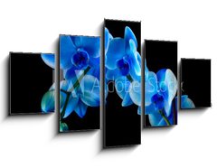 Obraz   Blue sapphire orchid, 125 x 70 cm