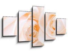 Obraz   Two delicate high key beige roses macro floral background, 125 x 70 cm