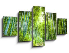 Obraz 5D ptidln - 125 x 70 cm F_GS60510509 - Bamboo forest and walkway