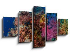 Obraz   Coral and fish, 125 x 70 cm