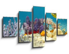 Obraz   Colorful underwater marine life seabed, 125 x 70 cm