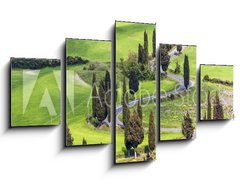 Obraz   Road with curves and cypresses in Tuscany, Italy, 125 x 70 cm