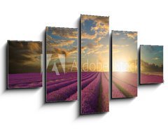 Obraz 5D ptidln - 125 x 70 cm F_GS61346445 - Vibrant Summer sunset over lavender field landscape