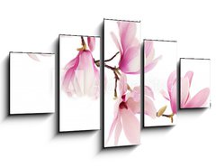 Obraz   Pink spring magnolia flowers branch, 125 x 70 cm