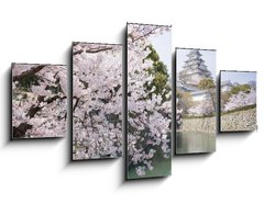 Obraz   Japanese cherry blossoms and castle in spring, 125 x 70 cm