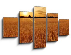 Obraz 5D ptidln - 125 x 70 cm F_GS6287668 - Field of wheat at sunset