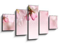 Obraz 5D ptidln - 125 x 70 cm F_GS62918390 - Spring flowers background with pink blossom